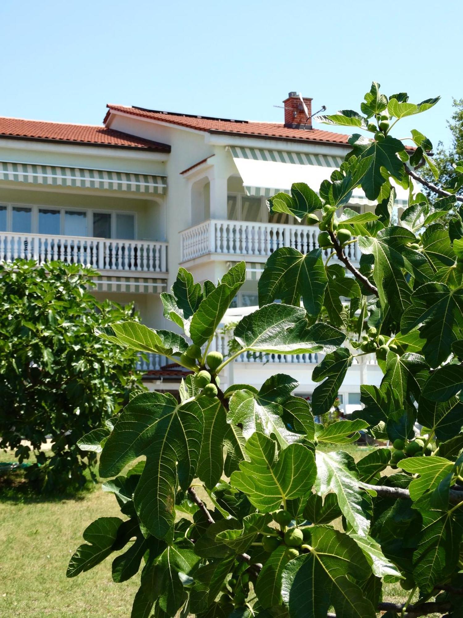 Appartement Gorancica