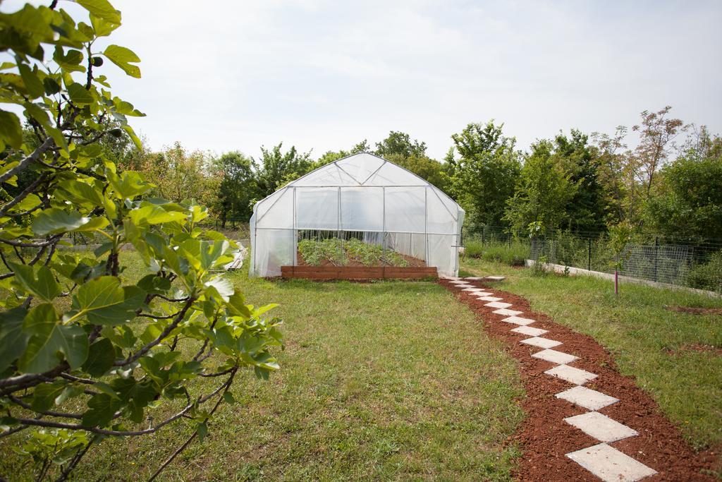 Appartement Gorancica *